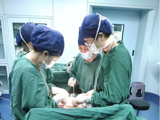 不負所托守護女性生命健康——記淮南市婦幼保健院婦產(chǎn)科副主任醫(yī)師王婷婷